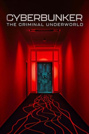 Cyberbunker : Les dessous du darknet streaming
