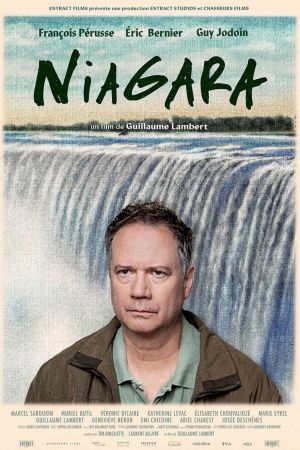 Niagara streaming