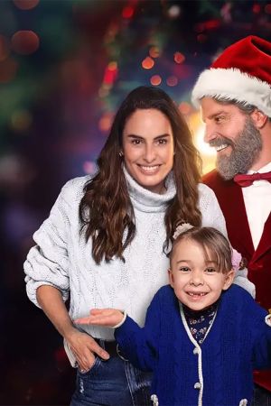Beau-père Noël streaming