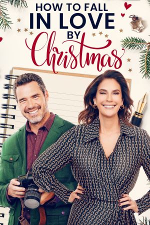 Coup de foudre en cadeau de Noël streaming