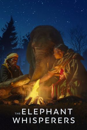 Ceux qui murmuraient à l’oreille de l’éléphanteau streaming