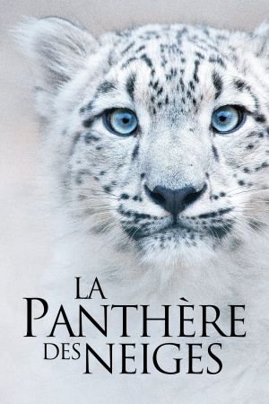 La Panthère des neiges streaming
