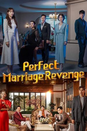 Perfect Marriage Revenge streaming