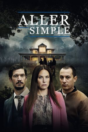 Aller simple streaming