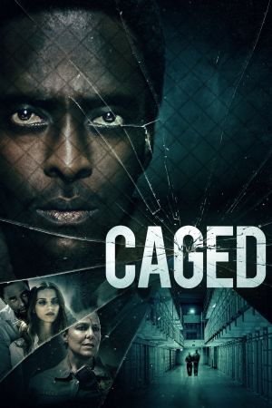 En cage streaming