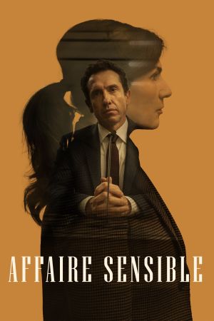Affaire sensible streaming
