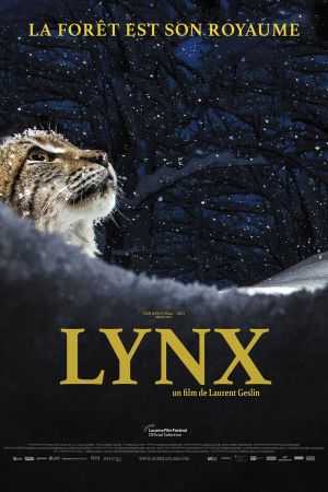 Lynx streaming