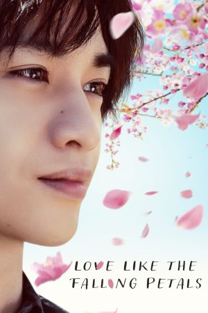 Love Like the Falling Petals streaming