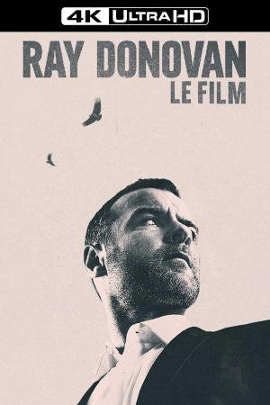 Ray Donovan : Le Film streaming