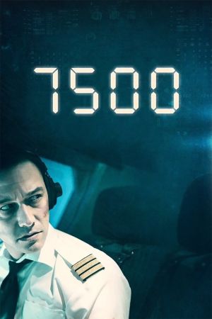 Code 7500 : Un avion en détresse streaming