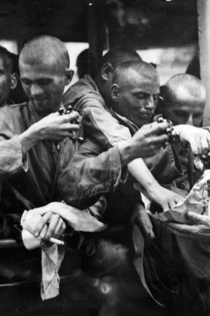 Retour à Belsen streaming