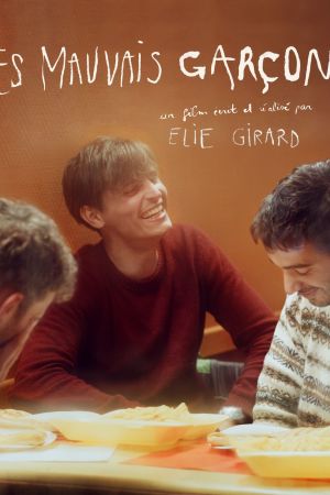 Les mauvais garçons streaming