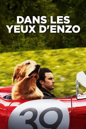 Dans les yeux d'Enzo streaming