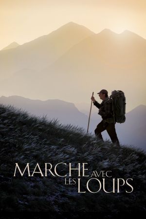 Marche avec les loups streaming