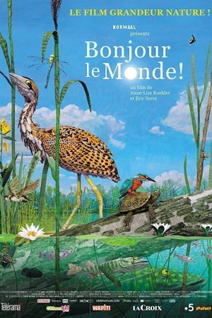 Bonjour le monde ! streaming