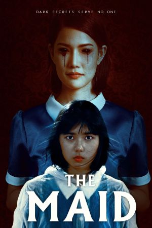 The Maid streaming
