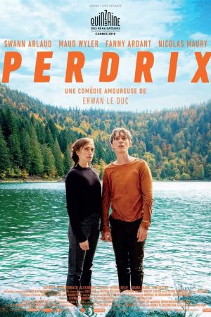 Perdrix streaming