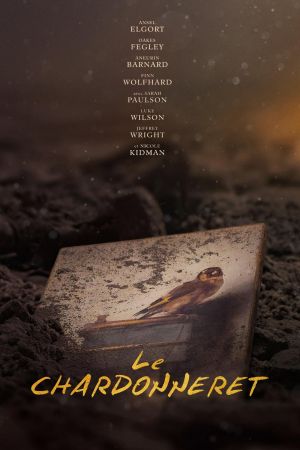 Le Chardonneret streaming