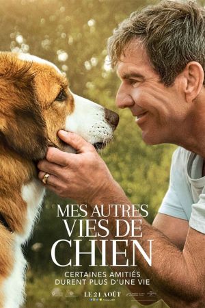 Mes Autres Vies de Chien streaming