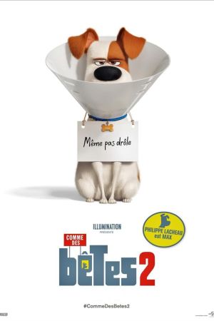 Comme des bêtes 2 streaming