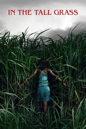 Dans les hautes herbes streaming