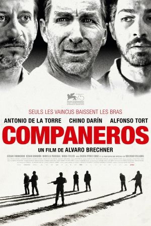 Compañeros streaming