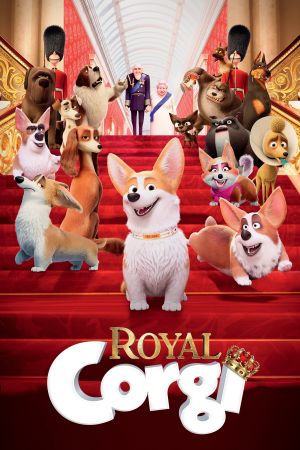 Royal Corgi streaming