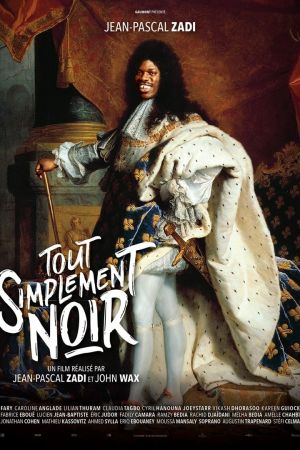 Tout simplement noir streaming