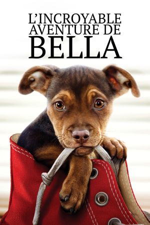 L'Incroyable Aventure de Bella streaming