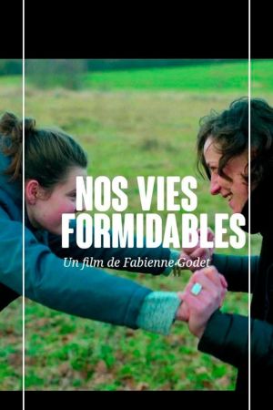 Nos vies formidables streaming