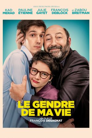 Le Gendre de ma vie streaming