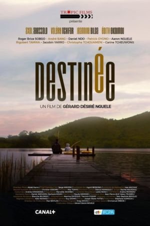 Destinée streaming