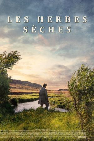 Les Herbes sèches streaming