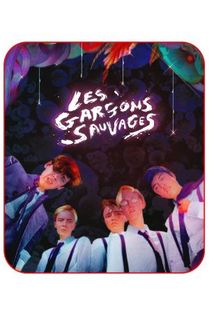Les Garçons sauvages streaming