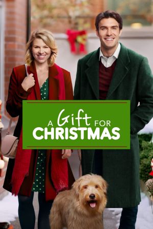 Noël avec un inconnu streaming