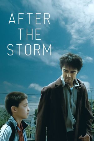 Après la tempête streaming
