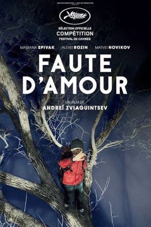 Faute d'amour streaming