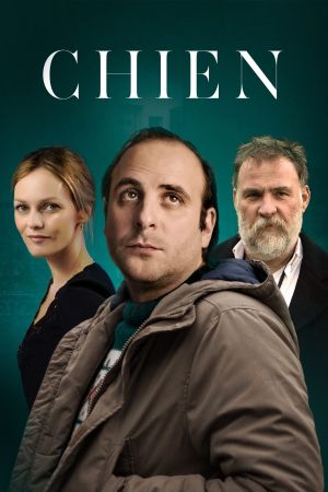 Chien streaming