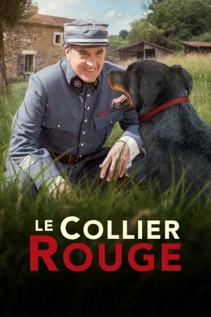 Le Collier rouge streaming