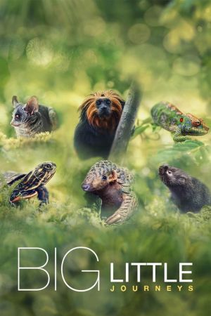 Big Little Journeys streaming