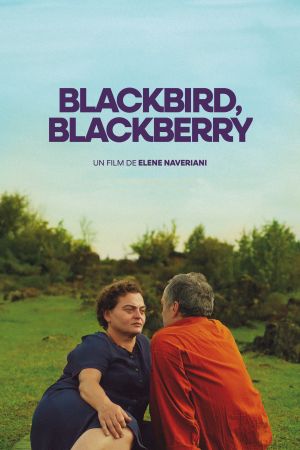 Blackbird, Blackberry streaming