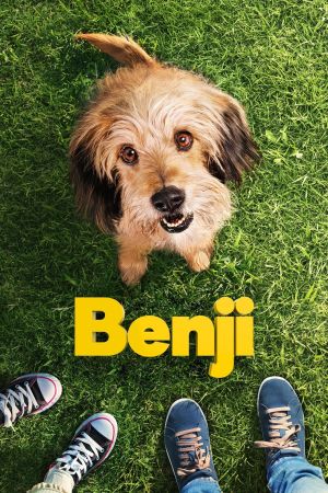 Benji streaming