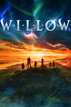 Willow streaming