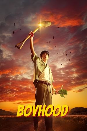 Boyhood streaming