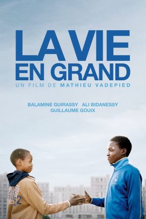 La vie en grand streaming