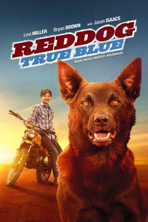 Blue, mon chien d'Australie streaming