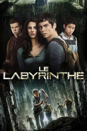 Le Labyrinthe streaming