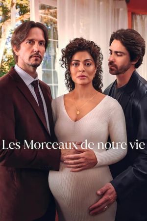 Les Morceaux de notre vie streaming