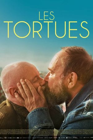 Les tortues streaming