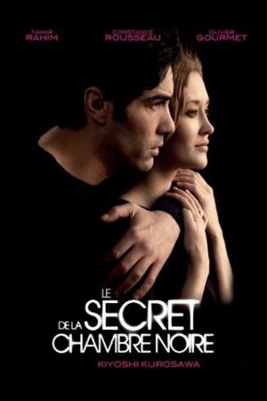Le Secret de la chambre noire streaming